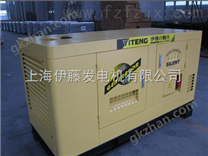 10KW*柴油发电机 YT2-12KVA