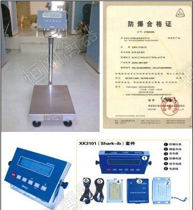 防爆电子台磅