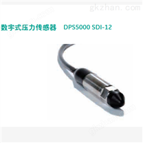 GE精准数字式压力传感器 DPS5000 SDI-12