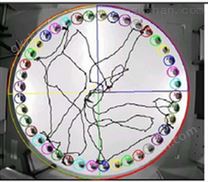 Barnes迷宫、Morris水迷宫视频分析系统
