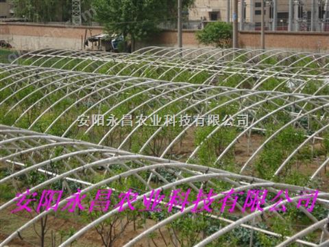 万喜堂app下载 新型新款全自动蔬菜温室大棚骨架机