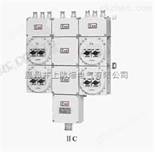 BM/DX□-□L防爆照明（动力）配电箱（漏电保护）
