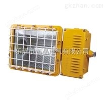 BAT53·BAT53系列·防爆泛光灯250w/400w