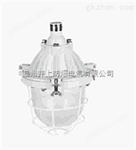 BAD51防爆灯-N灯