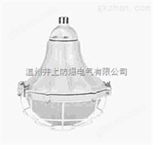 BAD54防爆灯