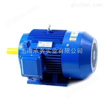 上海大速电机公司供应变频电机YVF2-355L2-4--315KW