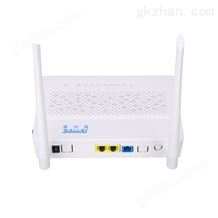 AP221GE1GE+FE+WIFI ONU