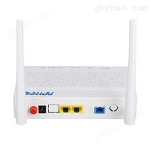 AP221GER1GE+1FE+WIFI GPON ONU