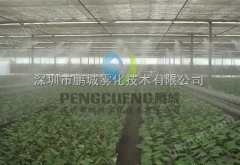 万喜堂app下载老虎机 户外降温设备丨人工湖冷雾设备安装