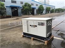 德国诺克LED车载15KW*汽油发电机投标