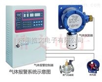 壁挂式一氧化碳泄露报警仪