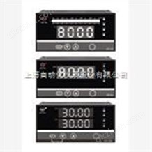 WP-C804-02-12-2H2L-P-T数显仪表