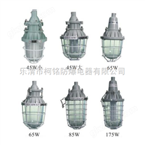 防爆节能灯，BCD-J45W-175W防爆节能灯