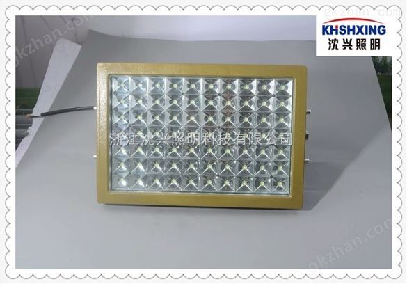 LED防爆灯100W厂家