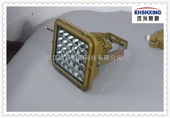 LED防爆灯 厂房防爆照明灯 40W