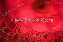 狗肾细胞；Super Tube实验方法