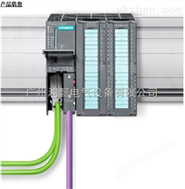 西门子S7-300温度控制模块FM355S