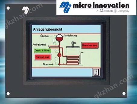 MICRO-INNOVATION