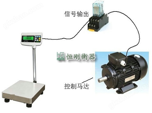 带开关量信号电子秤