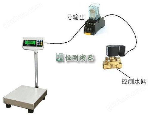 带开关量信号电子秤