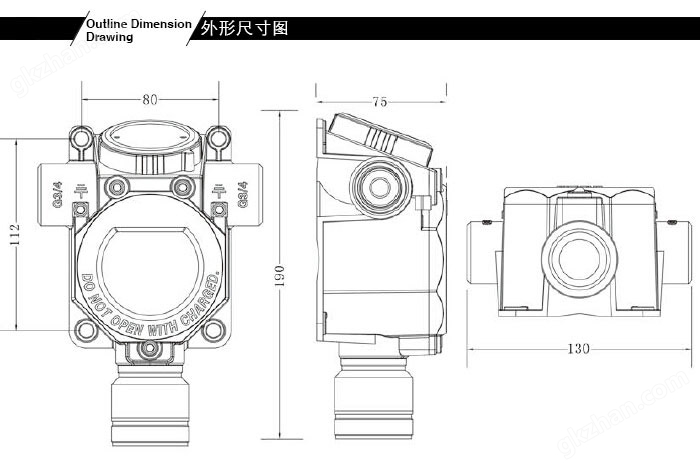 RBT-6000-ZLG型气体探测器