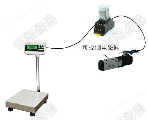 带开关量信号电子秤