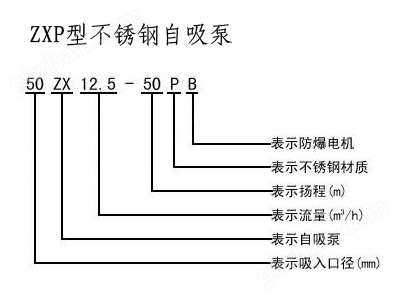 不锈钢自吸泵,自吸泵,自吸泵原理,ZX型自吸泵，ZW型自吸泵，无密封自控自吸泵，自吸泵图片，自吸水泵，自吸泵厂家，自吸泵价格，上海自吸泵