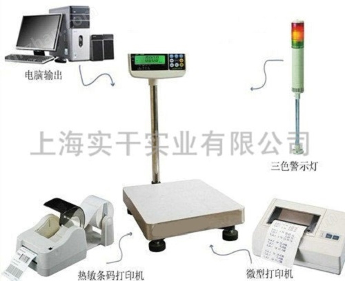 控制输出电子秤