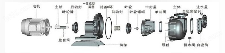 耐酸碱污水自吸泵产品结构分解图