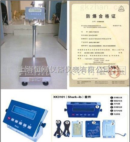 耀华300kg防爆电子台秤