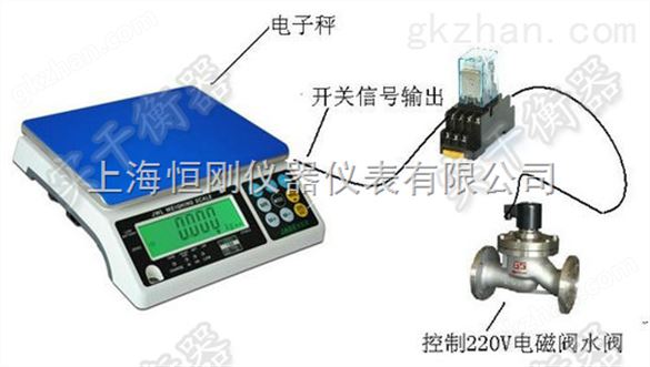 带开关量信号防水电子秤价格