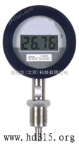 数字温度计（RS-485数字通讯接口，-50～500℃，耐振，防爆） 型号:MN3/DTR100