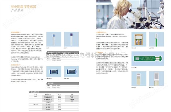 Heraeus贺利氏薄膜铂电阻