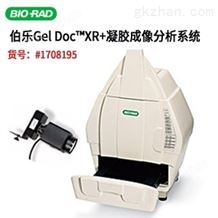 Doc™ XR+ 1708195美国BIO-RAD伯乐 全新 Gel D