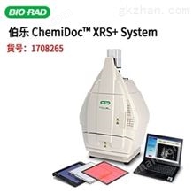 XRS+ 1708265美国BIO-RAD伯乐ChemiDoc™