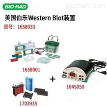 1658033美国伯乐Bio-Rad小型垂直电泳转印系