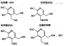 直条式多用数控切割机