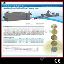lt65湖北武汉强化大米生产设备 营养米加工设备 黄金米加工设备