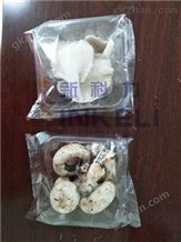 食用菌万喜堂app下载网页版