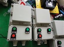 BQC-20A/380VBQC-20A/380V防爆磁力起动器