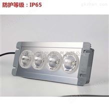 NPE4013LED应急灯