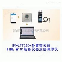 TIMEW101智能仪器涂层测厚仪