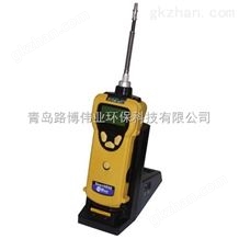 PGM-1600万喜堂彩票注册网站SearchRAE三合一可燃气毒气检测仪PGM-1600