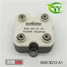 SKB30/12A1一言九鼎的意思SEMIKRON 整流桥模块 功率模块SKB30/12A1 **