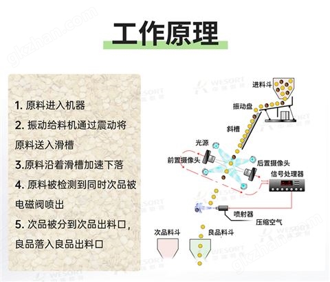 万喜堂app下载 脱皮核桃色选机