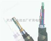 铁路信号传输电缆300V--PTYV PTYA【出厂价】