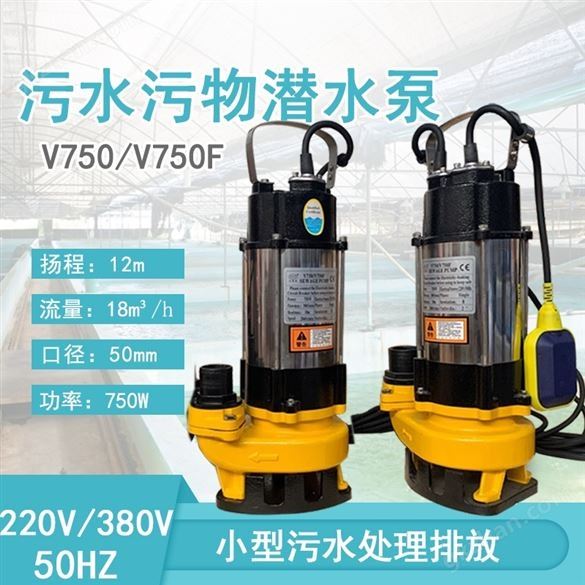 220V可配浮球自动潜水泵V750 3寸铸铁家用泵