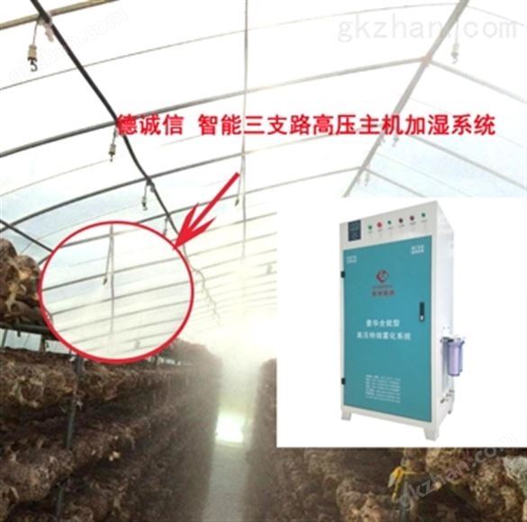 瓦力游戏app提现不到账怎么办呢,蘑菇加湿器