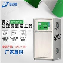 启立供应QLO-30g高浓度臭氧发生器 水处理