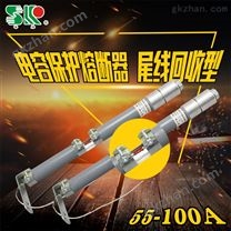 高压电容保护熔断器BR1-12KV/100尾线回收型